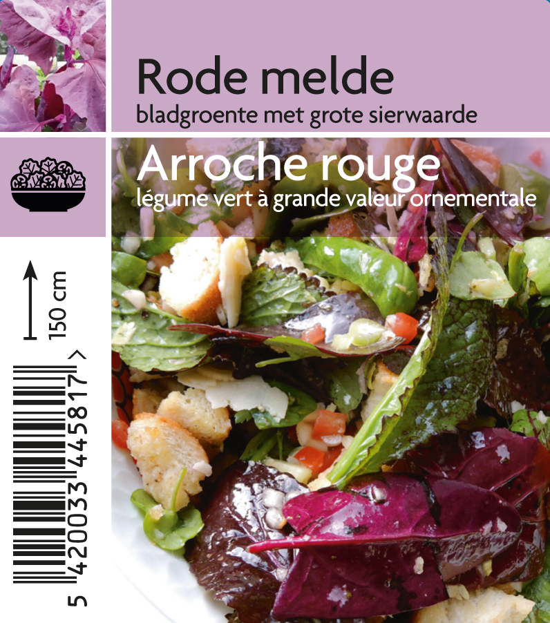 Arroche rouge (tray 15 pot)